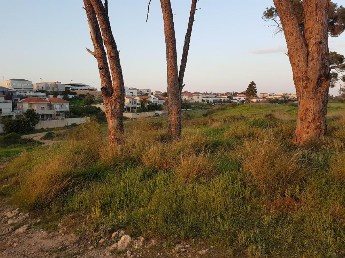 The Hbs Suite Ness Ziona Exterior photo